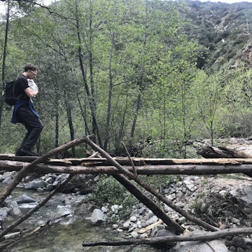 Image 3 of 25