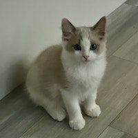 Sitter Profile Image: Marcia R.