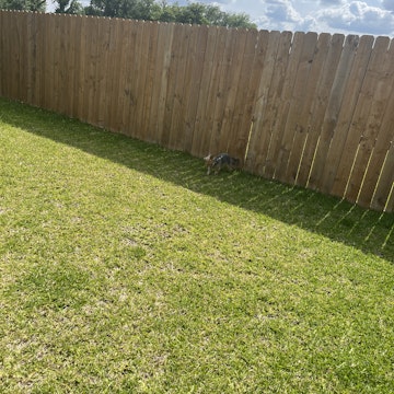 Image 1 of 112