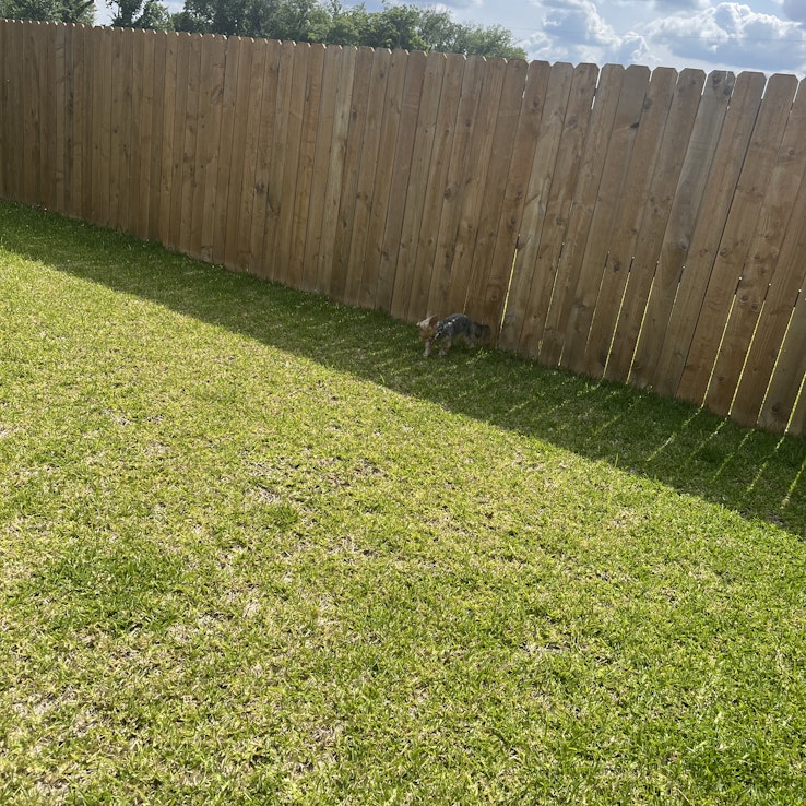 Image 1 of 112