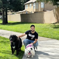 Sitter Profile Image: Pedro Camillo C.