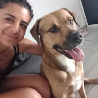 Immagine del profilo del sitter: Doris D.