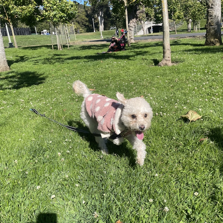 Image 1 of 106