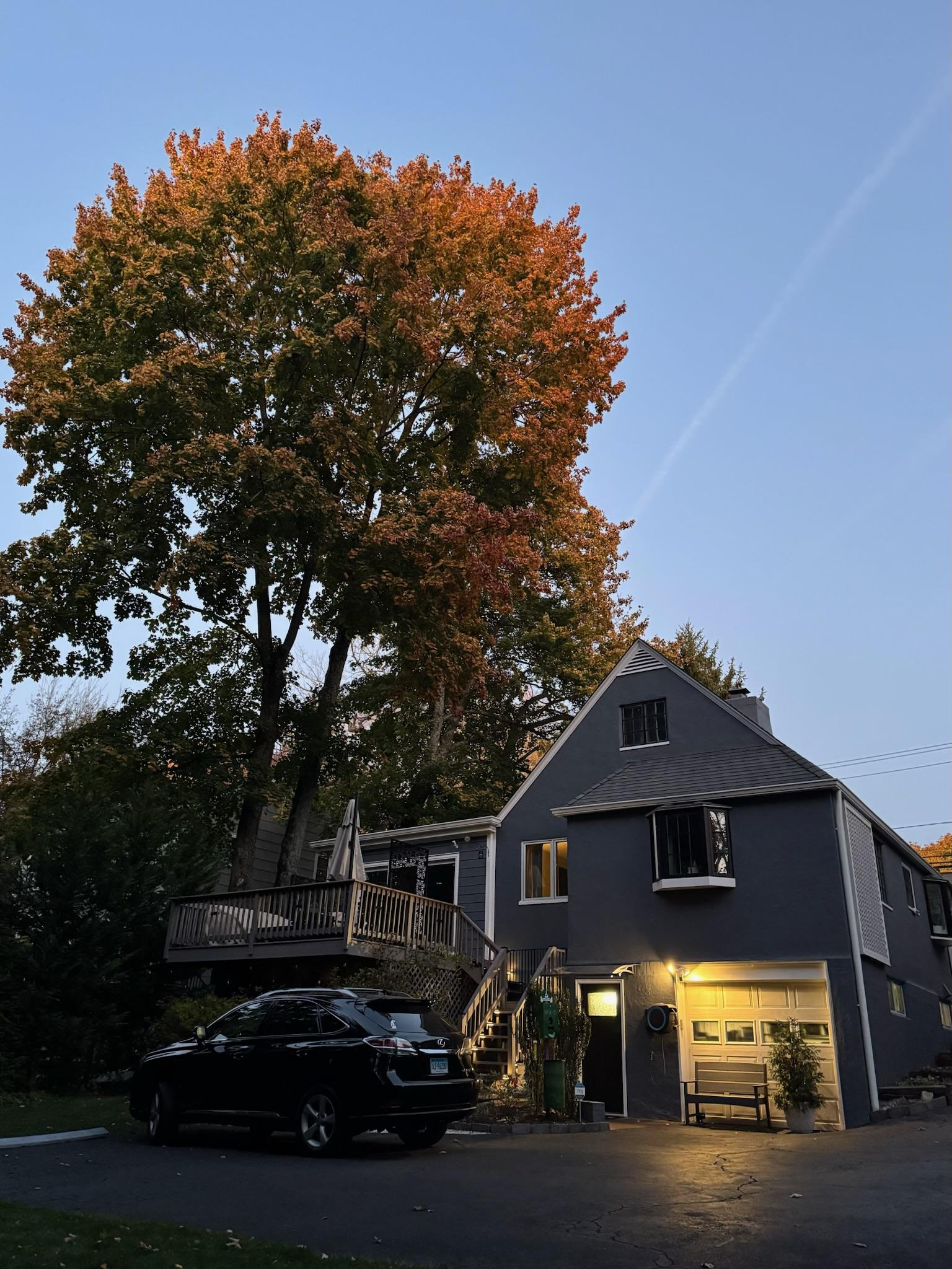 Image 2 of 25