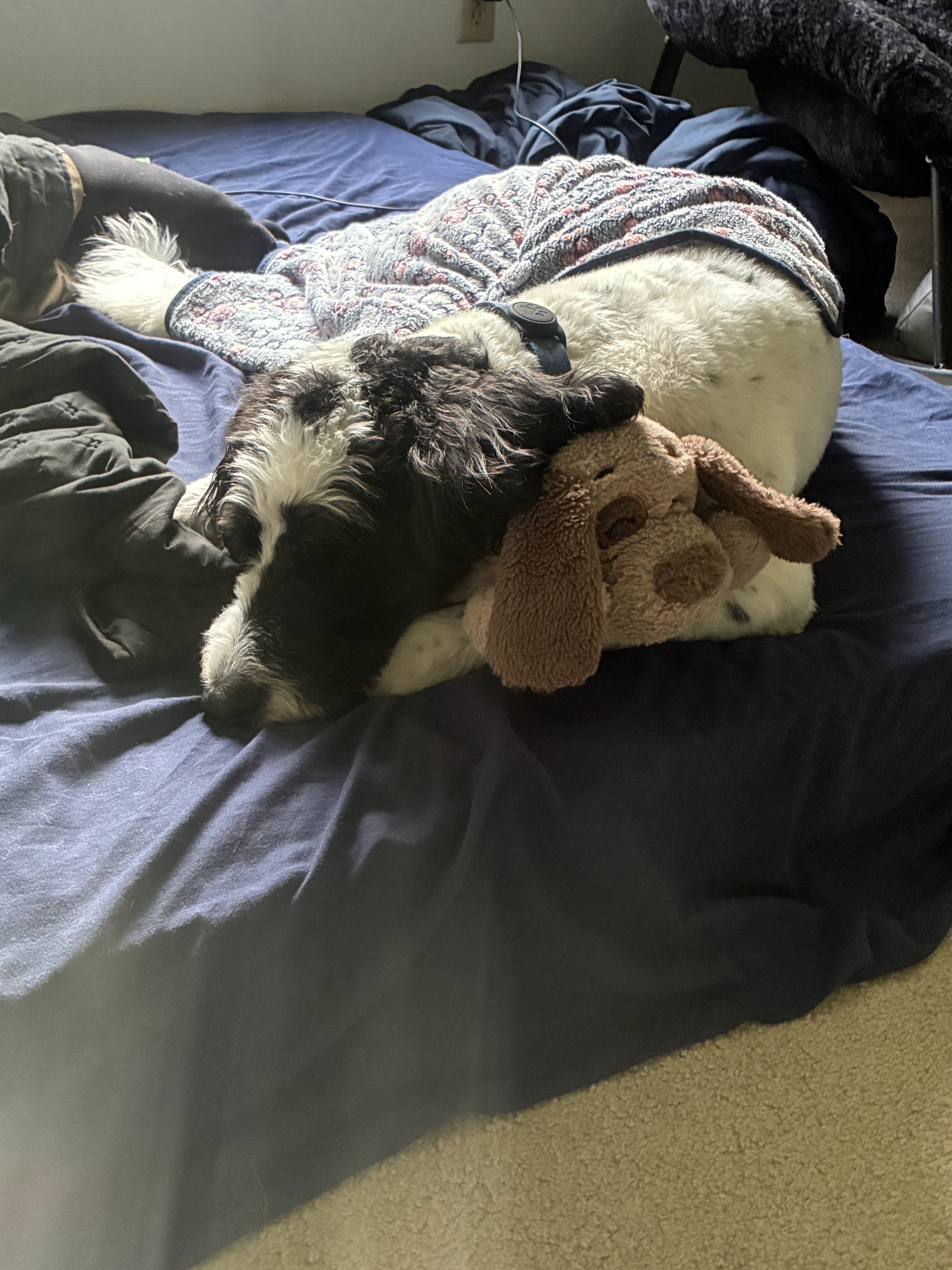 Image 4 of 5