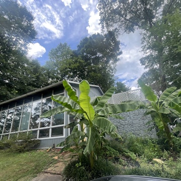 Image 3 of 42