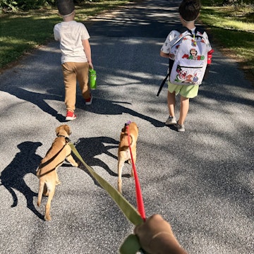 Image 1 of 12