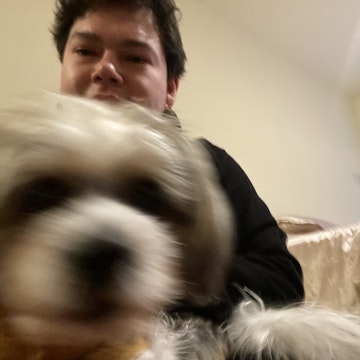 Image 1 of 5