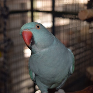 Image 4 of 8