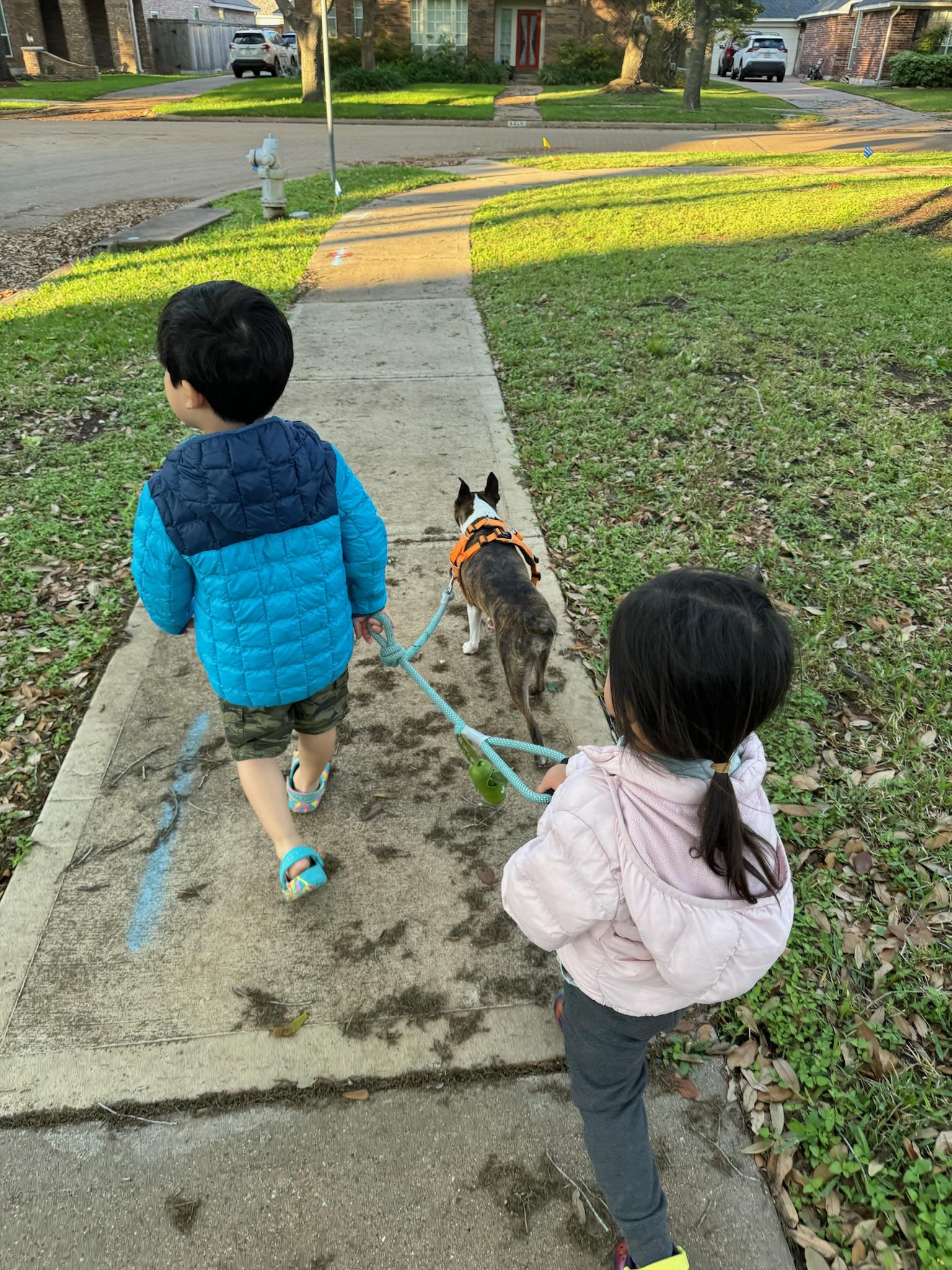 Image 2 of 25