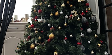 Image 3 of 109