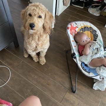 Image 2 of 103