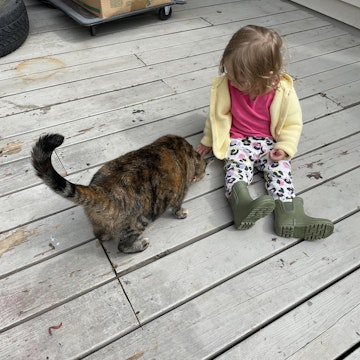 Image 3 of 8