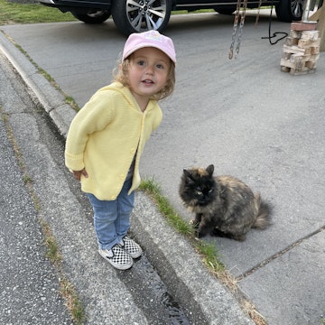 Image 2 of 8