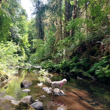 Image 2 of 18