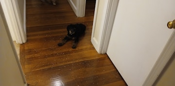 Image 3 of 5