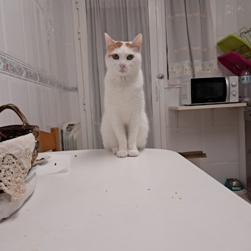 Image 3 of 5