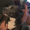 Roxanne S.