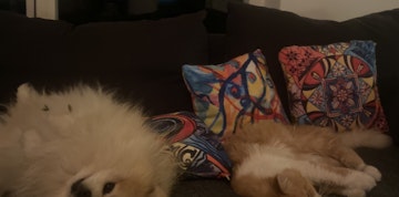 Image 4 of 5