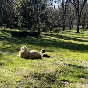 Image 3 of 15
