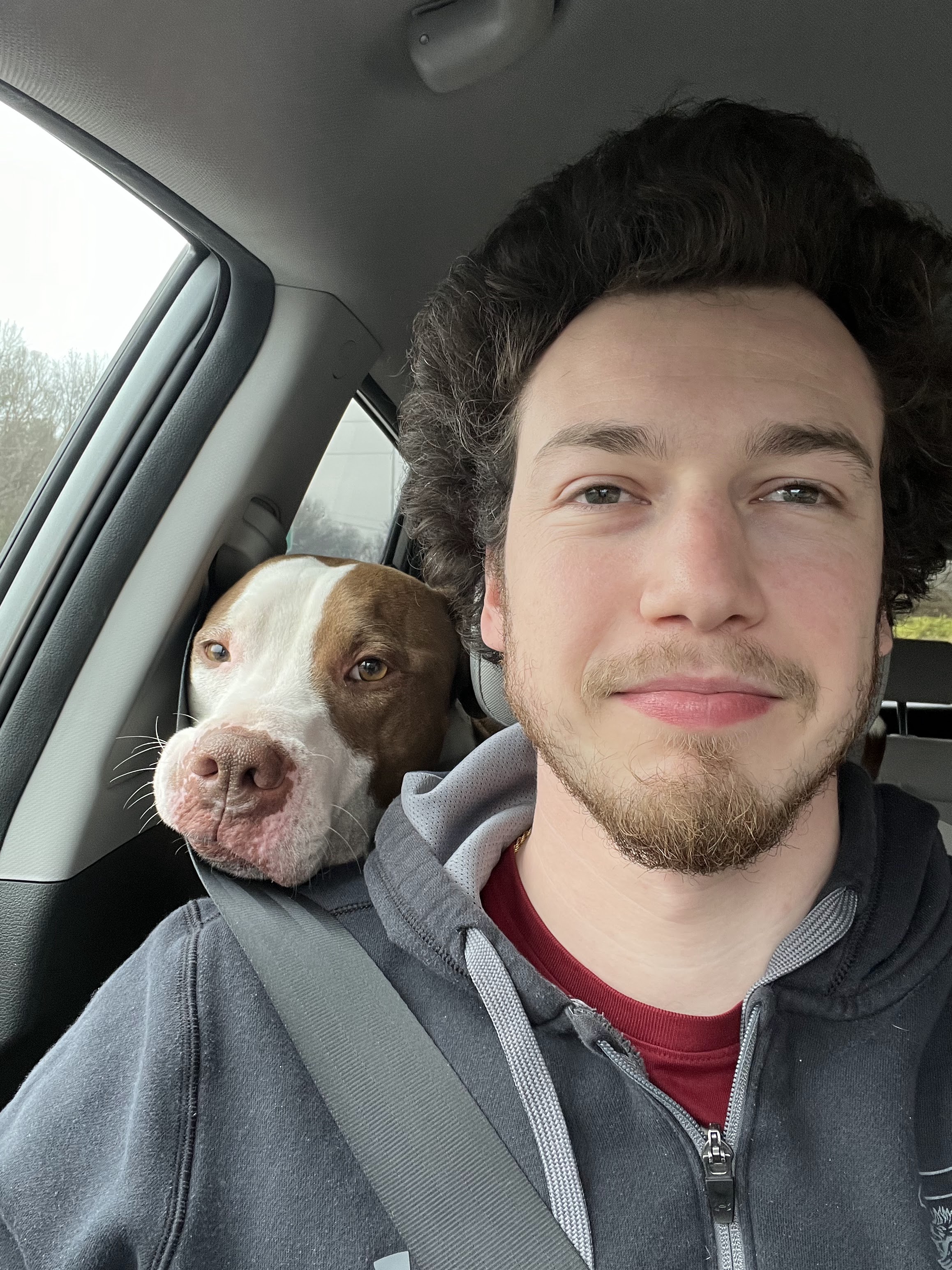 pet
