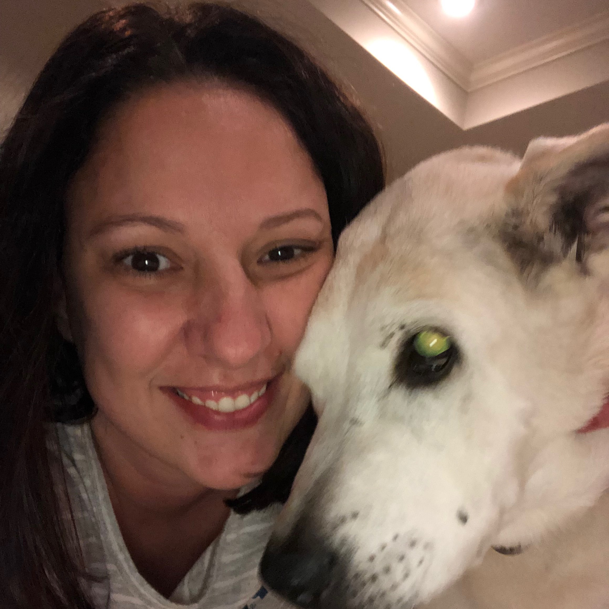 carrie's dog day care