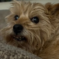 Sitter Profile Image: Cathy N.