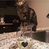 Kimberly S.