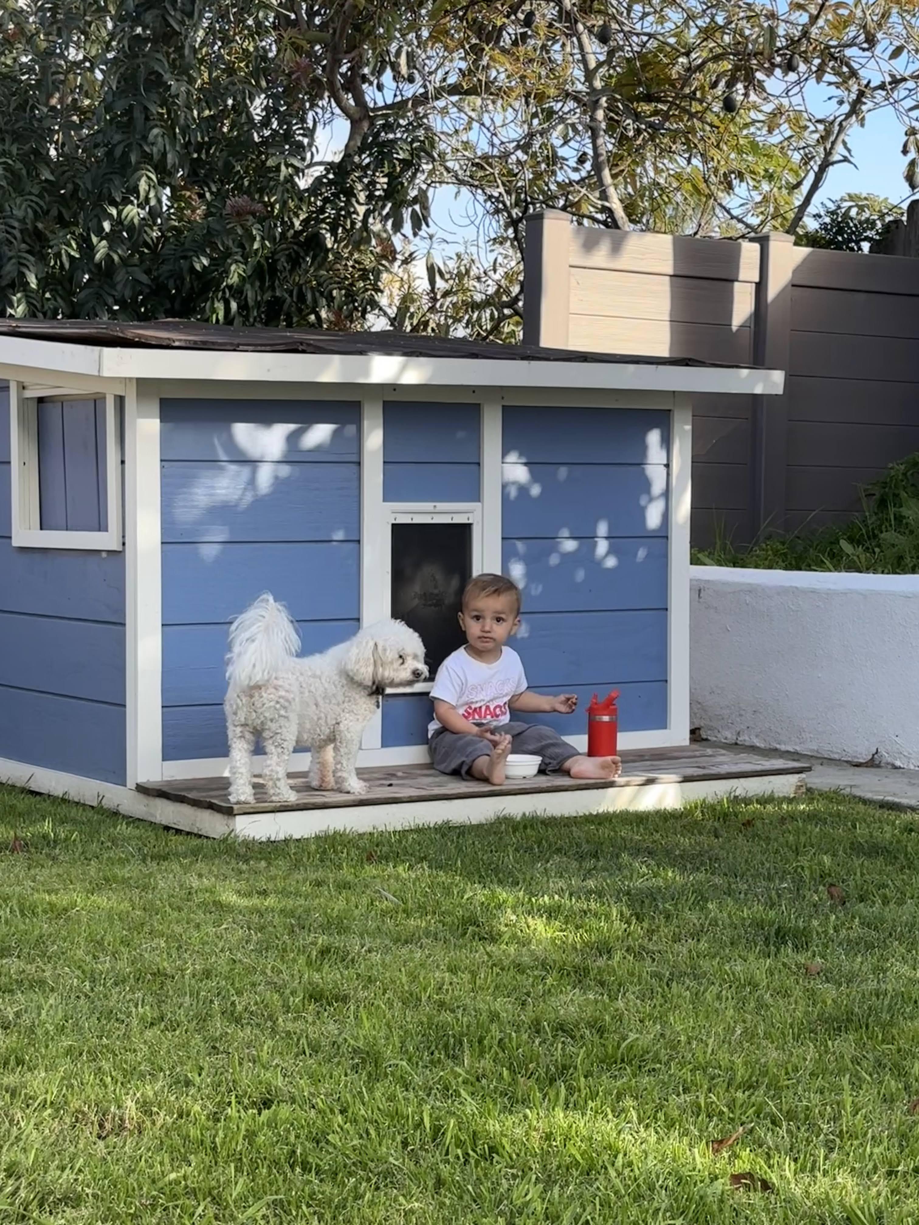 Image 1 of 6