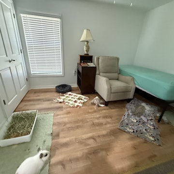 Image 5 of 25