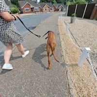 Sitter Profile Image: Nicole P.