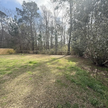 Image 4 of 6