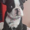 Rori P.