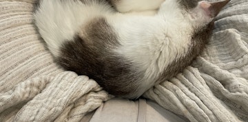 Bild 5 von 8
