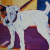 Debbi S.