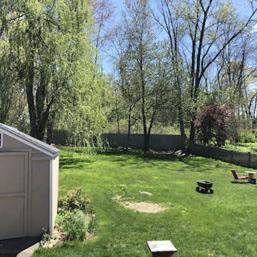 Image 5 of 21