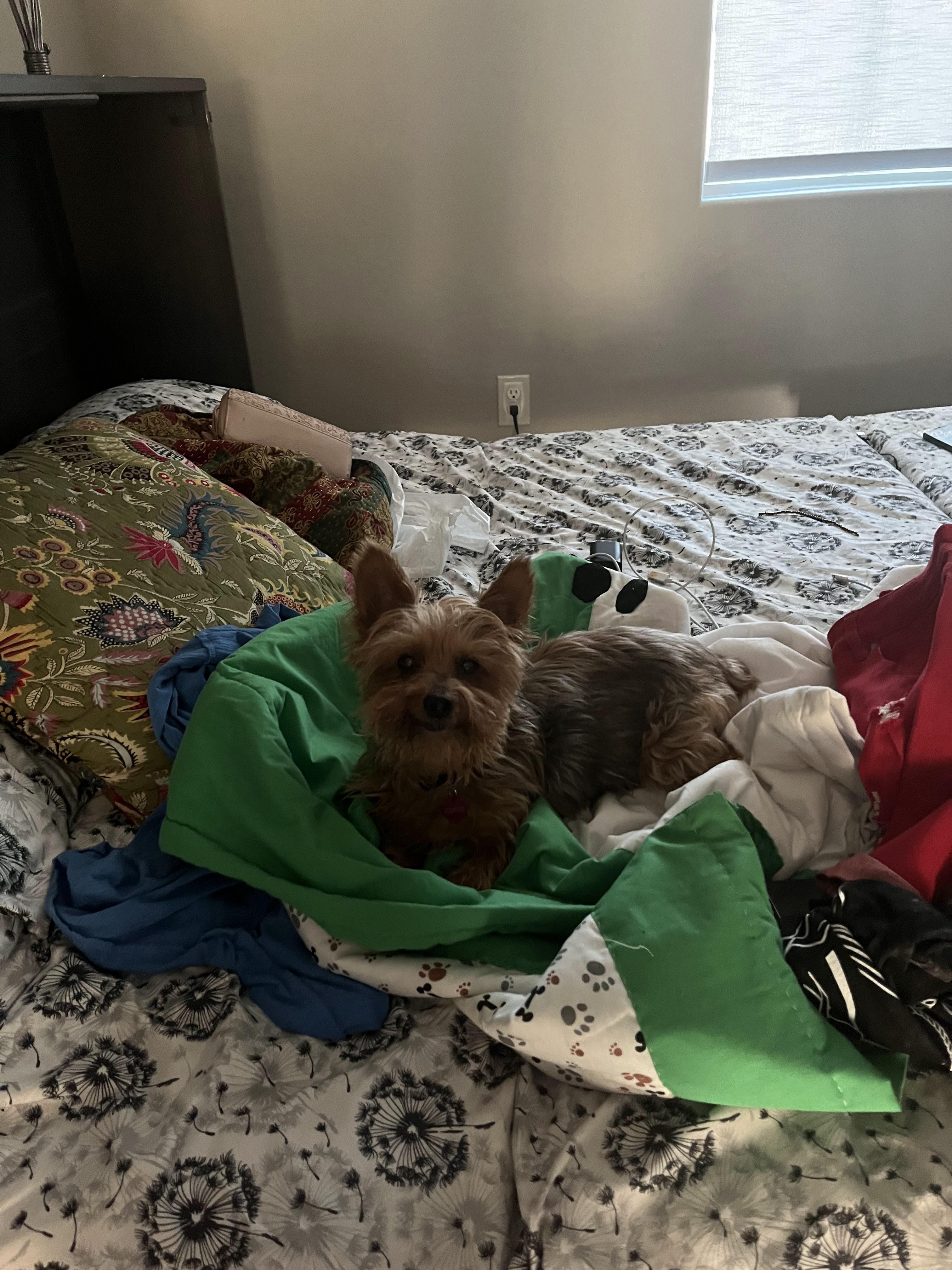 Image 1 of 4