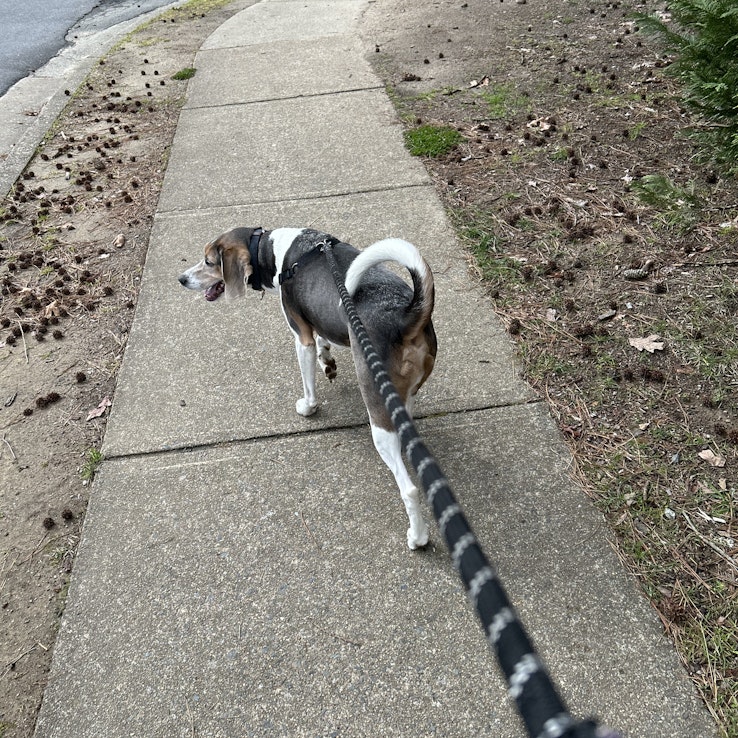 Image 1 of 8