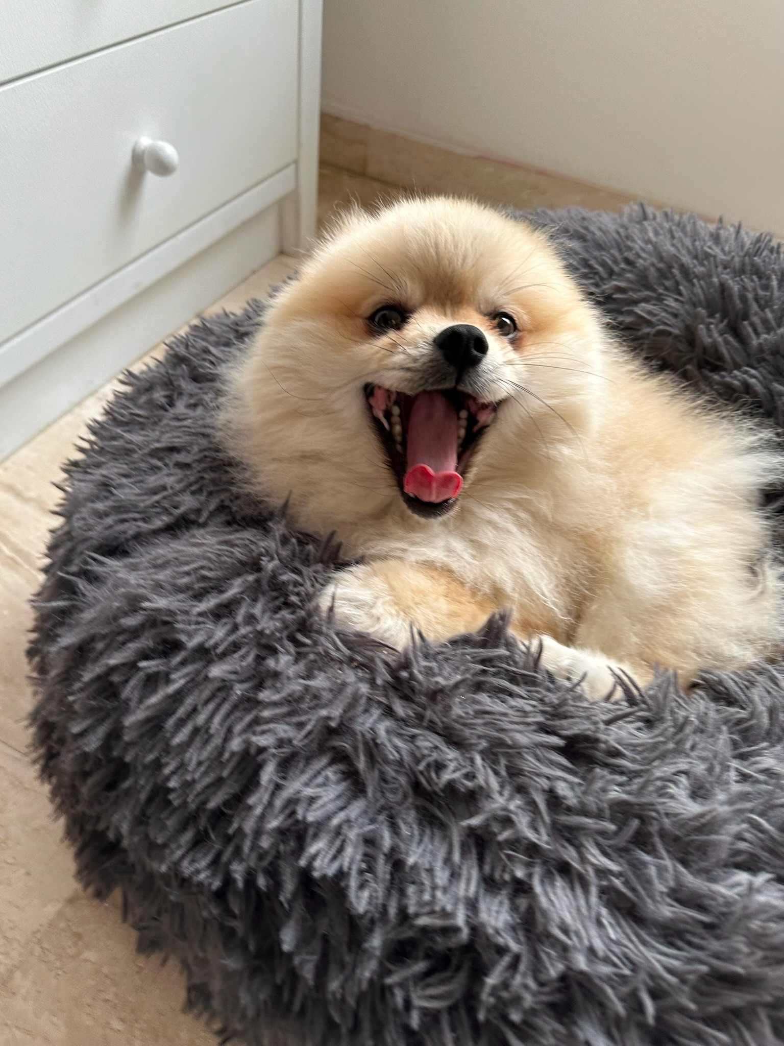 Foto del cuidador: Celia M.