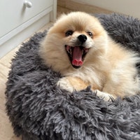 Foto del cuidador: Celia M.