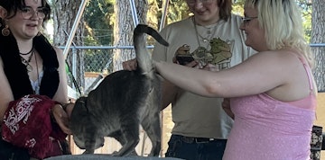 Image 3 of 10