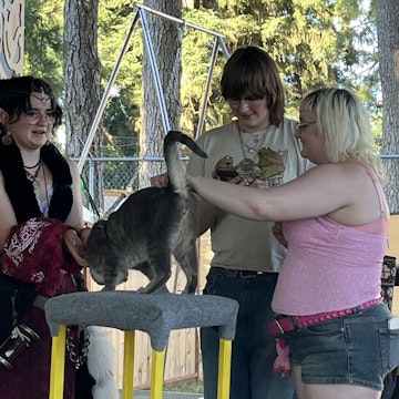 Image 3 of 10
