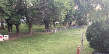Image 3 of 14