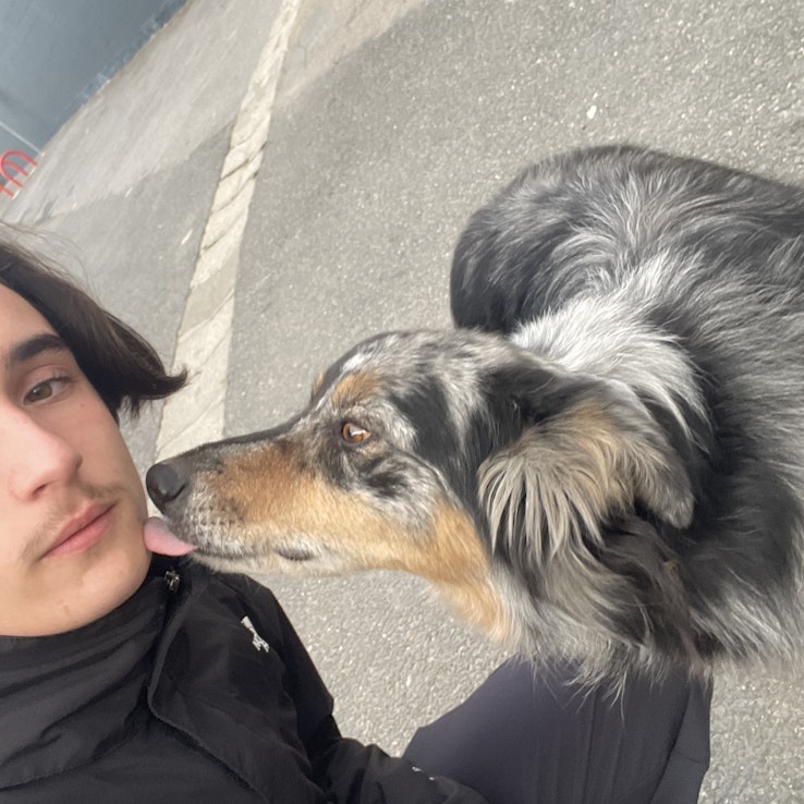 Image 1 of 16