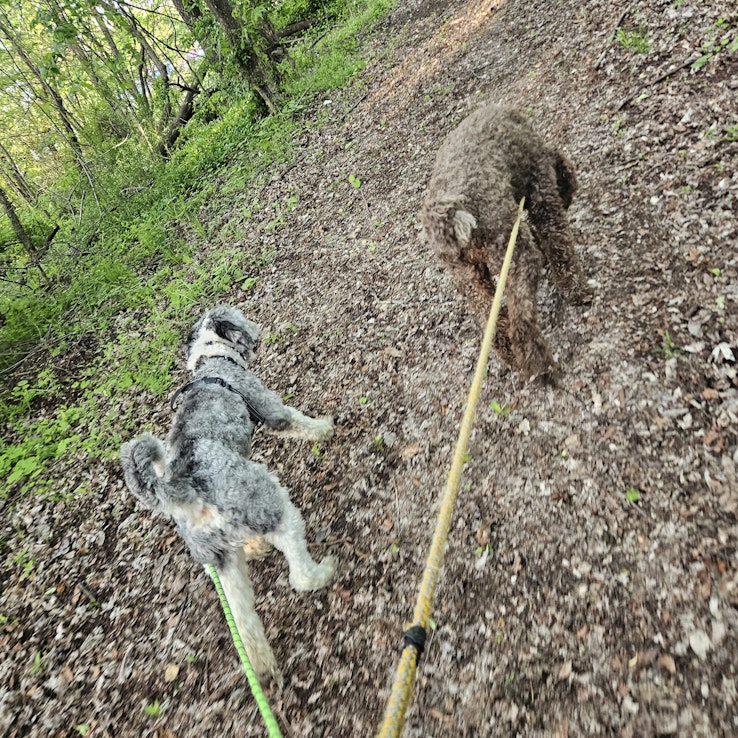 Image 1 of 6