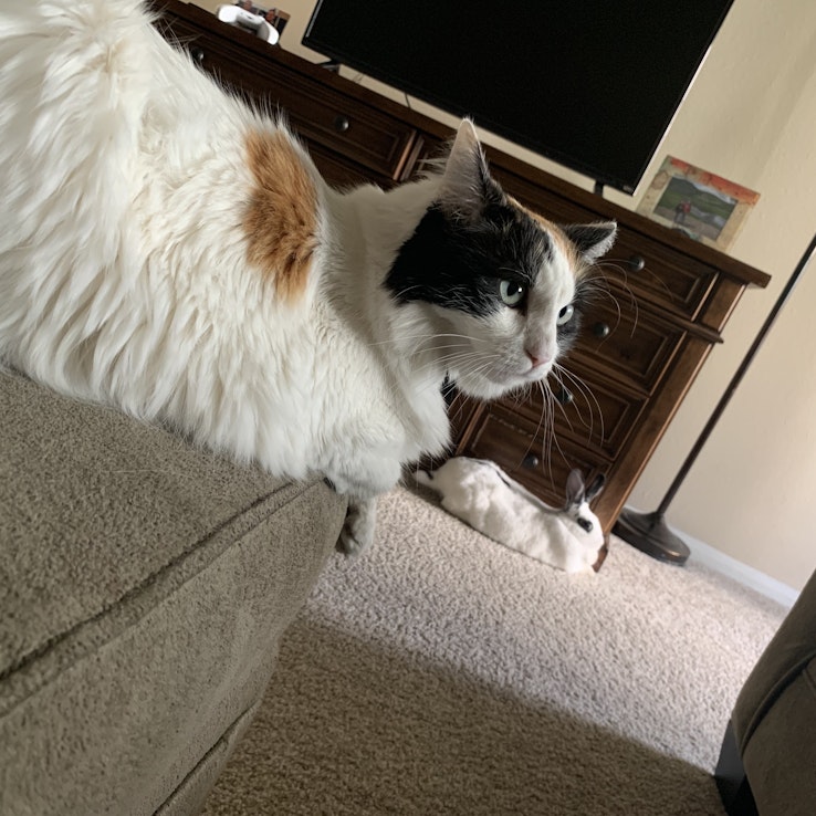 Image 1 of 8