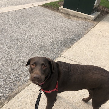 Image 1 of 26