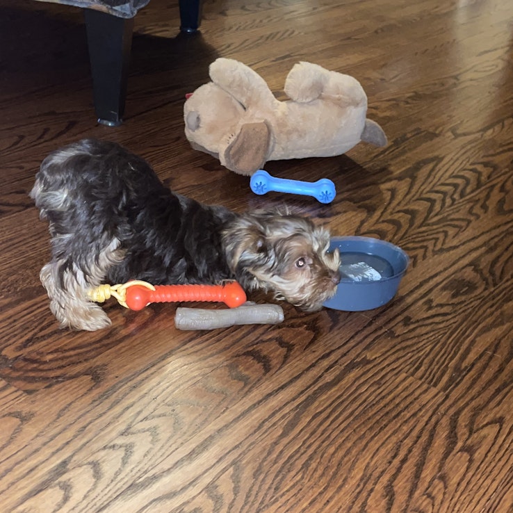 Image 1 of 9