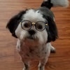 Tina Z.