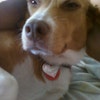 Amy S.